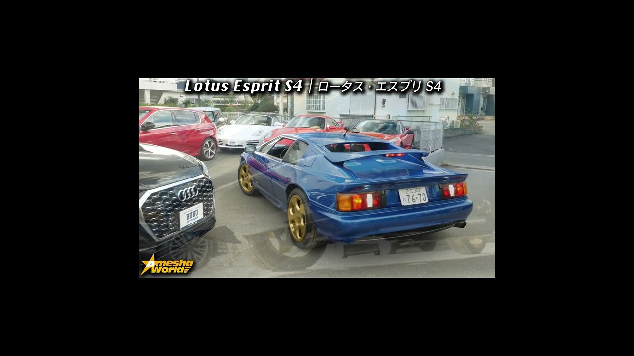 動画1