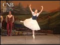 Giselle