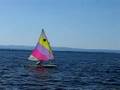 stave island sailing 2008