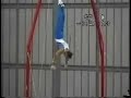 Montage gymnastic.Evolution elements 4 - Rings 1