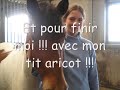 annif