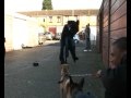 Voltage - Badda Den Dem (Music Video)