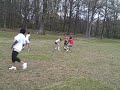 Skoolboy and dem damn fools vs crazy girls Skoolboy and dem damn fools vs crazy girls