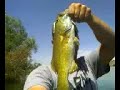 smallmouth bass fishing zane