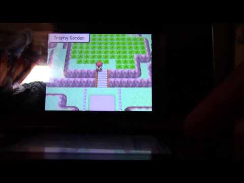 how to get porygon z in pokemon diamond
