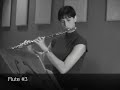 nina perlove vlog: 10 flute demonstration round two