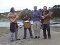 cogollo andino cogollo andino