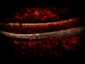 take the bizarre ride into the inner world of 'jonna's body,' where life's daily chaos is corralled by pearl, jonna's loyal, sassy internal receptionist, as she fields calls from a parade of off-beat body parts with never-ending needs.

starring jonna tamases. director adam bluming.