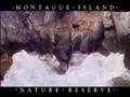 Montague Island CSA