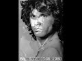 NEW tribute to dead rockstars NEW tribute to dead rockstars