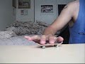 Tech Deck