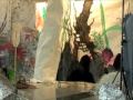De Grote Plantenshow 1