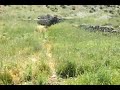 Click here to watch this video Kfarchelli 4 - Mayfouk Village (Byblos) - Lebanon May 2012