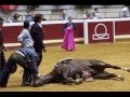 Maltrato Animal