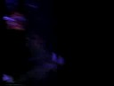 Dj Micky D at Freedom Festival 2008 - one more!