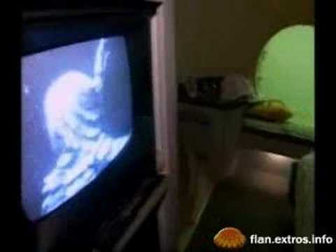 Vivir Bajo El Agua YouTube Preview Image