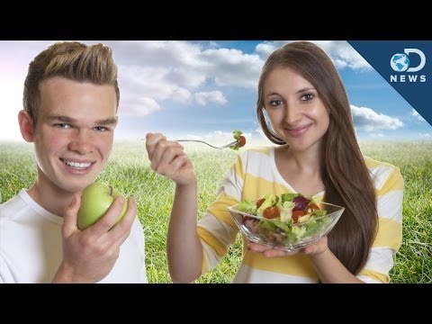 Are Vegetarians Better for the Environment?