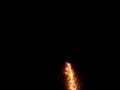 New Year\ New Year\