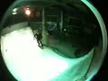 Jennyイトウ氏