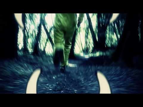 Hail Mary Mallon (Aesop Rock, Rob Sonic, & DJ Big Wiz) – “D-Up” video