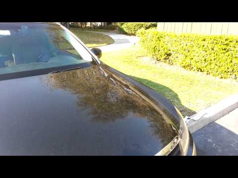 Infiniti M35 100lb hood struts