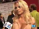 Pamela Anderson And Rick Solomon Honeymoon In Las Vegas