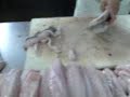 Merluceitor