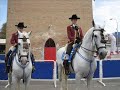 Caballos Raza Espa�ola