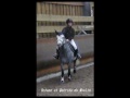 CSO BISCHWILLER 25102009 HARAS DES BUSSIERES
