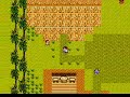 Startropics Startropics