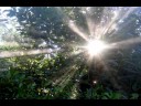 THANK GOD.wmv