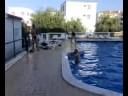 Ferias Algarve 2008 (Piscina)- Vermil