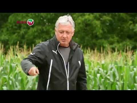 Пляжная подготовка. Тренировка  Пляжная подготовка. Тренировка