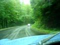videos de MG's throught the woods