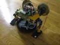 Walk Bot