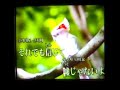 Every Little Thing動画