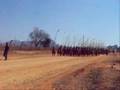 Reed Dance (Swazilandia) ICEX 2007