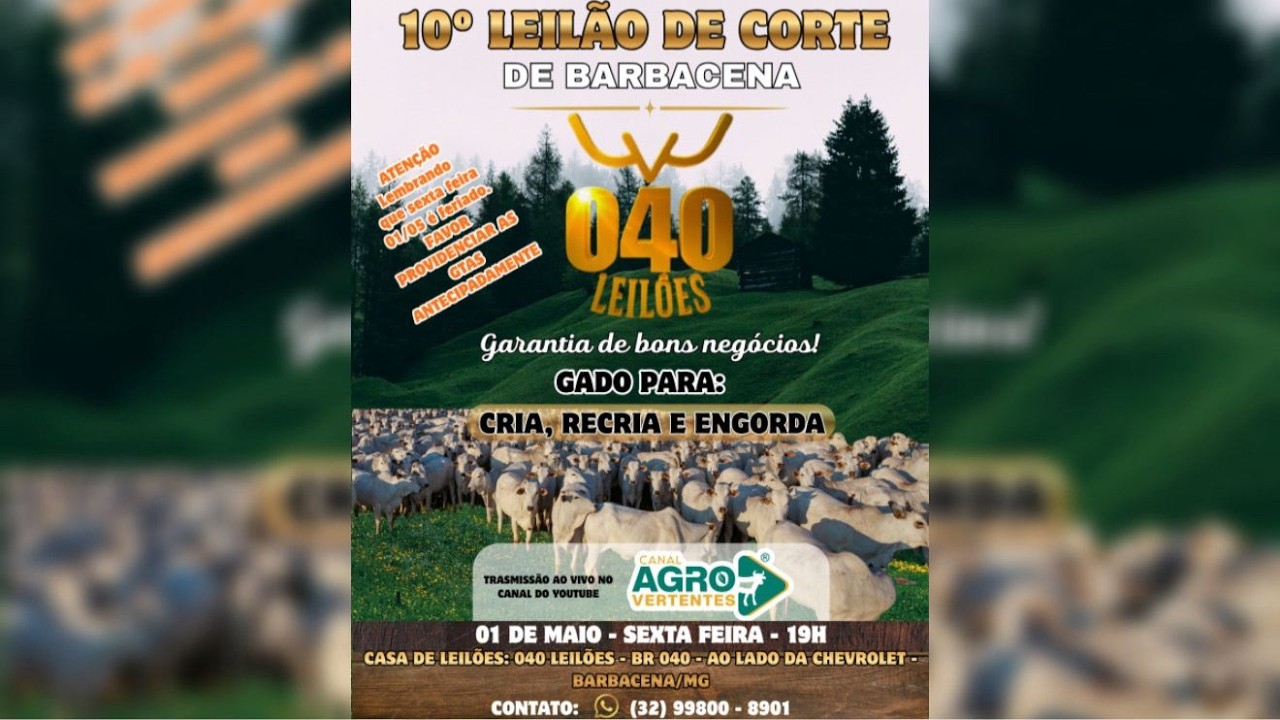 10º LEILÃO DE GADO DE CORTE PRESENCIAL E VIRTUAL 040 LEILÕES BARBACENA/MG - 01/05/2026