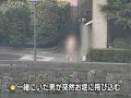 Tokyo Imperial Palace Skinny Dipper