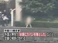 videos de Tokyo Imperial Palace Skinny Dipper