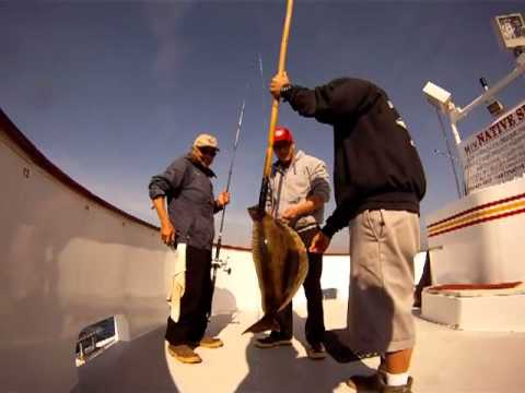 Pot of Gold Halibut Derby on the Native Sun