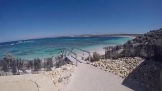 Rottnest Island, paradis aux portes de Perth 🌸🐹