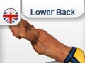 Exercises  Lower back  muscles  - extension  Lumbar Muscle ( female / male )