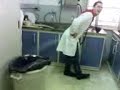 super scorreggio