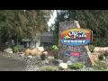 Watch: Ocean Trails Resort