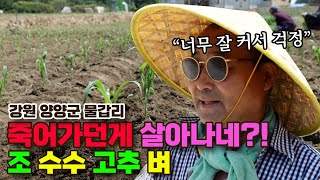 토생수