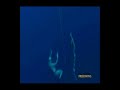 Freediving Sink Faze \