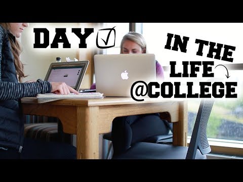 a day in the life of a freshman essay a day in the life of a freshman essay