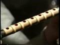 Ninjutsu of IGA flute/Fukiya (Blowgun)