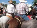 vaqueros y caballos en el convite feria tizimin yuc